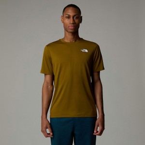 Camiseta The North Face 247 Hombre Marrom | NF0A62G2H