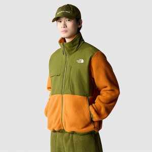 Chamarras The North Face Ripstop Denali Hombre Verde Oliva | NF0A59P5Z