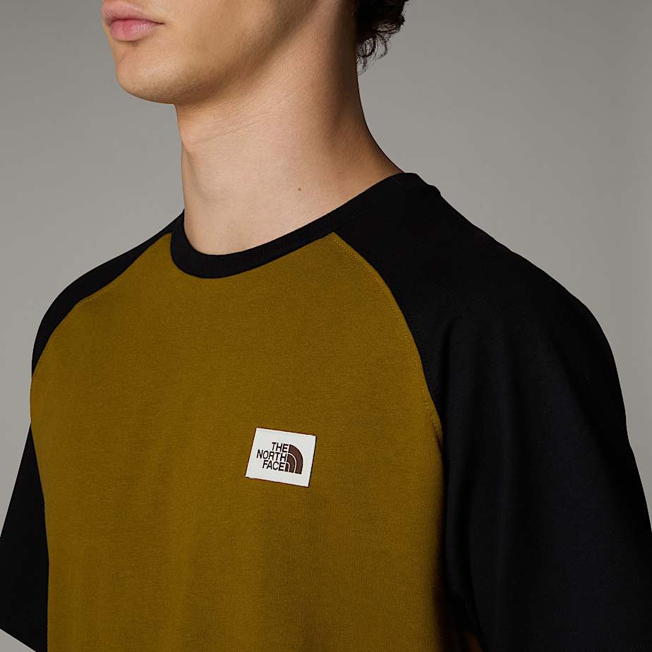 Camiseta The North Face Heritage Hombre Verdes | NF0A16I0J