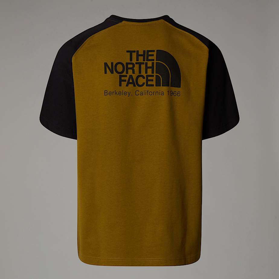 Camiseta The North Face Heritage Hombre Verdes | NF0A16I0J