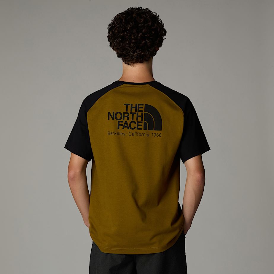 Camiseta The North Face Heritage Hombre Verdes | NF0A16I0J