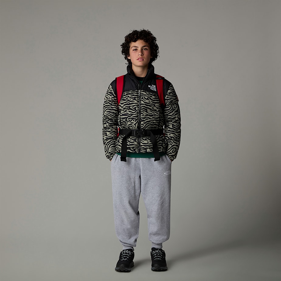 Chamarras The North Face 1996 Retro Nuptse Niños Grises | NF0A72J9O