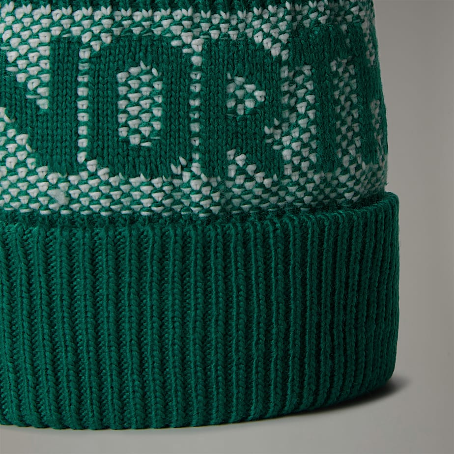 Gorro The North Face Retro Cabin Hombre Verdes | NF0A71A7U