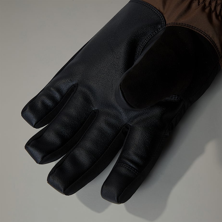 Guantes The North Face Montana Ski Hombre Marrom | NF0A92M0B