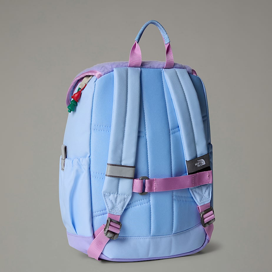 Mochilas The North Face Mini Explorer Niños Azules | NF0A55X4M