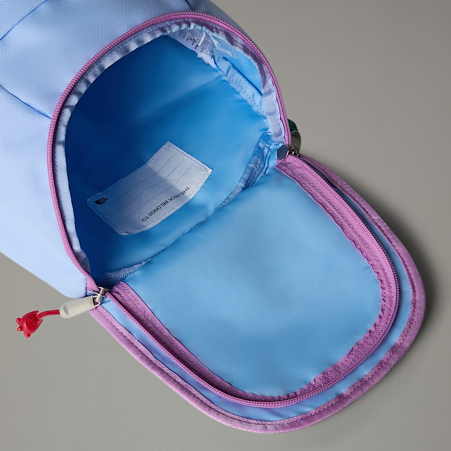 Mochilas The North Face Mini Explorer Niños Azules | NF0A55X4M