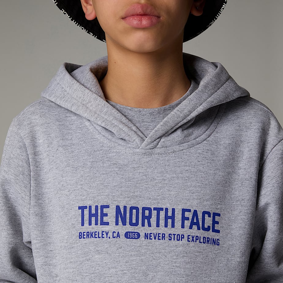 Sudadera con Capucha The North Face Varsity Graphic Relaxed Niños Grises | NF0A79S6K